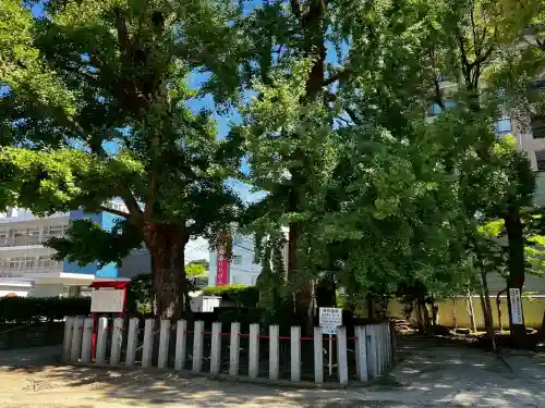 久留米宗社　日吉神社(福岡県)