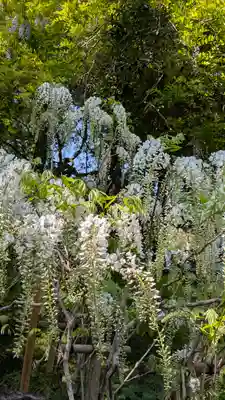 歌泉堂（春日大社神苑萬葉植物園内鎮座）(奈良県)