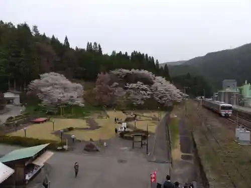 大幢寺(岐阜県)