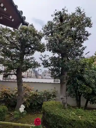 西蓮寺(東京都)