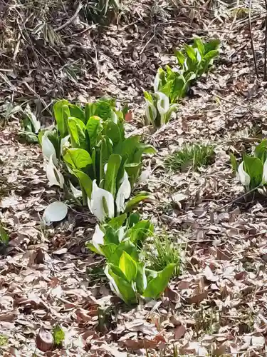 鹿島大神宮(福島県)