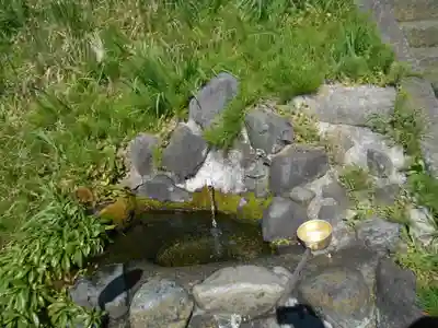 吾妻神社の手水舎