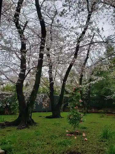 福蔵院(東京都)