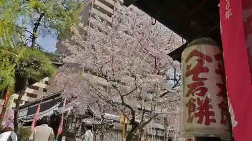 頂法寺（六角堂）の食事