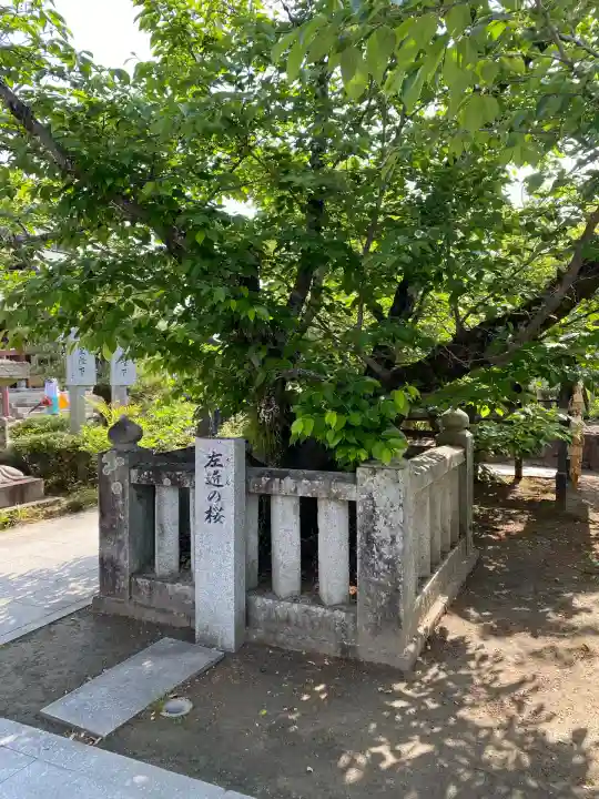 田村神社(香川県)