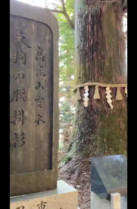 高尾山薬王院の{uncategorized: "未分類", other: "その他", undefined: "問題あり", building: "その他建物", grave: "お墓", sacred_gate: "鳥居", guardian: "狛犬", statue: "像", buddha: "仏像", history: "歴史", nature: "自然", garden: "庭園", animal: "動物", pagoda: "塔", temizu: "手水舎", mountain_gate: "山門・神門", sanctuary: "本殿・本堂", subordinate: "末社・摂社", art: "芸術", scenery: "景色", jizo: "地蔵", ema: "絵馬", goshuin: "御朱印", omikuji: "おみくじ", items: "授与品その他", amulet: "お守り", goshuincho: "御朱印帳", eats: "食事", festival: "お祭り", votive_dance: "神楽", shichigosan: "七五三参", wedding: "結婚式", experience: "体験その他", initially: "初詣", around: "周辺", anti_infection: "感染症対策"}