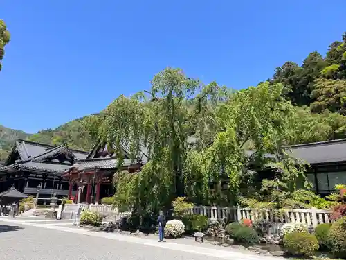 久遠寺(山梨県)