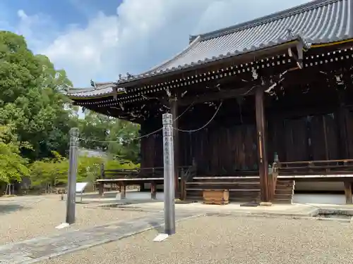 仁和寺(京都府)