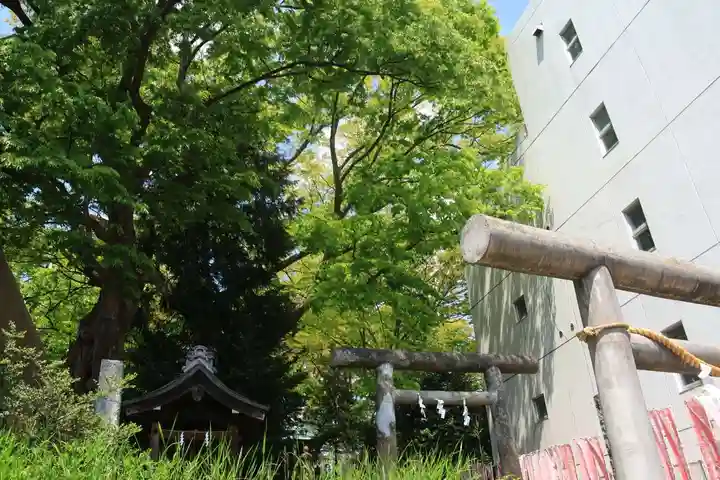 愛宕神社の景色