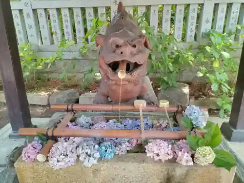 阿部野神社(大阪府)