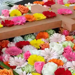 帯廣神社(北海道)(2026年04月30日(木) 17時08分50秒投稿)