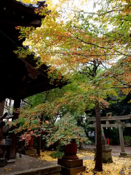 赤坂氷川神社(東京都)