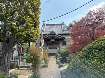 専心寺(東京都)