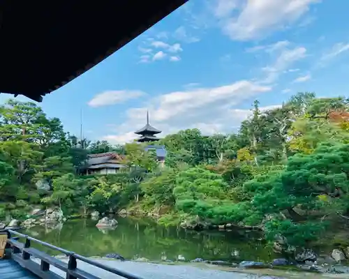 仁和寺の庭園