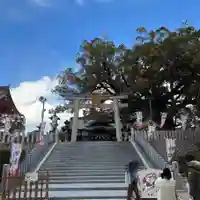 百舌鳥八幡宮(大阪府)