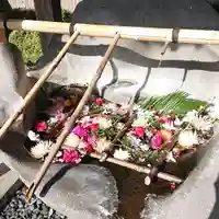 盛岡八幡宮の手水舎