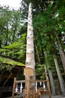 諏訪大社下社春宮(長野県)