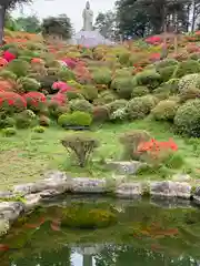 塩船観音寺(東京都)