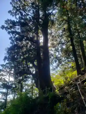 玉置神社の{uncategorized: "未分類", other: "その他", undefined: "問題あり", building: "その他建物", grave: "お墓", sacred_gate: "鳥居", guardian: "狛犬", statue: "像", buddha: "仏像", history: "歴史", nature: "自然", garden: "庭園", animal: "動物", pagoda: "塔", temizu: "手水舎", mountain_gate: "山門・神門", sanctuary: "本殿・本堂", subordinate: "末社・摂社", art: "芸術", scenery: "景色", jizo: "地蔵", ema: "絵馬", goshuin: "御朱印", omikuji: "おみくじ", items: "授与品その他", amulet: "お守り", goshuincho: "御朱印帳", eats: "食事", festival: "お祭り", votive_dance: "神楽", shichigosan: "七五三参", wedding: "結婚式", experience: "体験その他", initially: "初詣", around: "周辺", anti_infection: "感染症対策"}