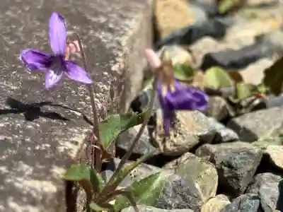 西方山極楽寺(岐阜県)
