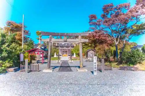 白鬚神社の鳥居