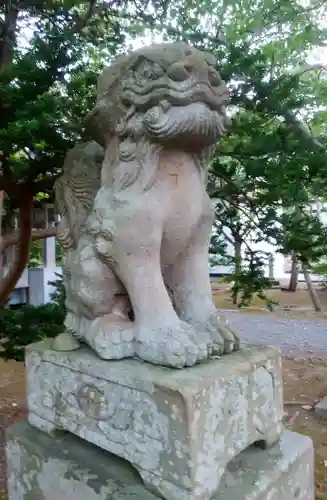 寿都神社の狛犬