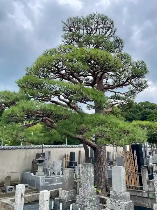 大運寺(神奈川県)