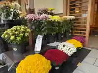 美奈宜神社(福岡県)