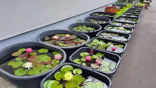 極楽山　浄土寺(北海道)