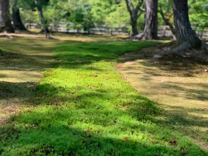 鹿苑寺(金閣寺)の自然
