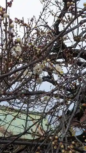 北野天満宮(京都府)