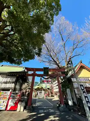 須賀神社の鳥居