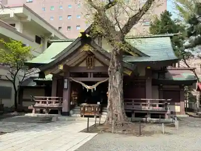 三吉神社の{uncategorized: "未分類", other: "その他", undefined: "問題あり", building: "その他建物", grave: "お墓", sacred_gate: "鳥居", guardian: "狛犬", statue: "像", buddha: "仏像", history: "歴史", nature: "自然", garden: "庭園", animal: "動物", pagoda: "塔", temizu: "手水舎", mountain_gate: "山門・神門", sanctuary: "本殿・本堂", subordinate: "末社・摂社", art: "芸術", scenery: "景色", jizo: "地蔵", ema: "絵馬", goshuin: "御朱印", omikuji: "おみくじ", items: "授与品その他", amulet: "お守り", goshuincho: "御朱印帳", eats: "食事", festival: "お祭り", votive_dance: "神楽", shichigosan: "七五三参", wedding: "結婚式", experience: "体験その他", initially: "初詣", around: "周辺", anti_infection: "感染症対策"}