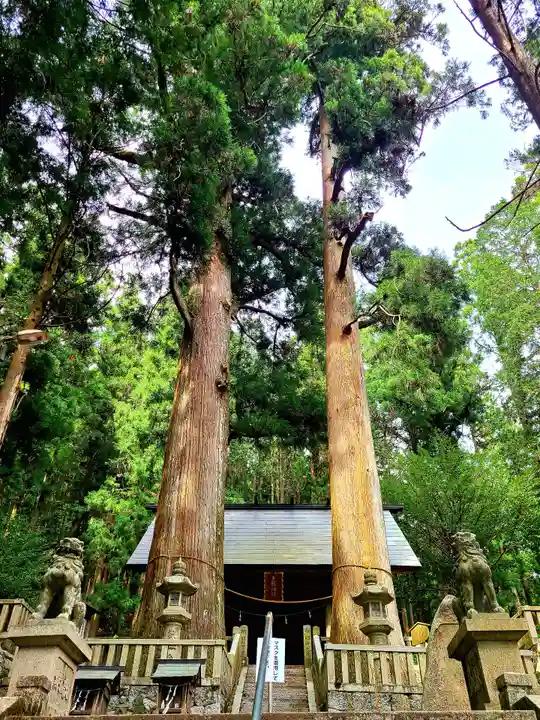 恵那神社の本殿・本堂