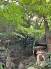 太宰府天満宮(福岡県)