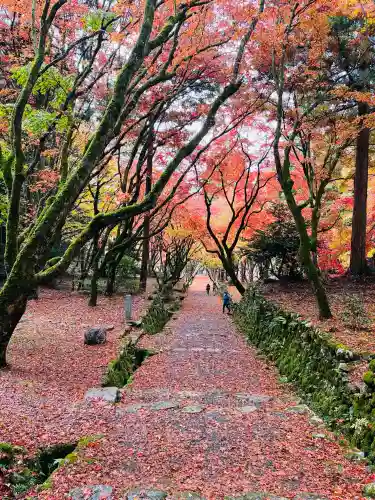 鶏足寺の{uncategorized: "未分類", other: "その他", undefined: "問題あり", building: "その他建物", grave: "お墓", sacred_gate: "鳥居", guardian: "狛犬", statue: "像", buddha: "仏像", history: "歴史", nature: "自然", garden: "庭園", animal: "動物", pagoda: "塔", temizu: "手水舎", mountain_gate: "山門・神門", sanctuary: "本殿・本堂", subordinate: "末社・摂社", art: "芸術", scenery: "景色", jizo: "地蔵", ema: "絵馬", goshuin: "御朱印", omikuji: "おみくじ", items: "授与品その他", amulet: "お守り", goshuincho: "御朱印帳", eats: "食事", festival: "お祭り", votive_dance: "神楽", shichigosan: "七五三参", wedding: "結婚式", experience: "体験その他", initially: "初詣", around: "周辺", anti_infection: "感染症対策"}