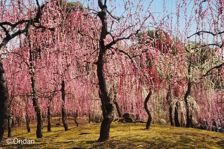 城南宮(京都府)