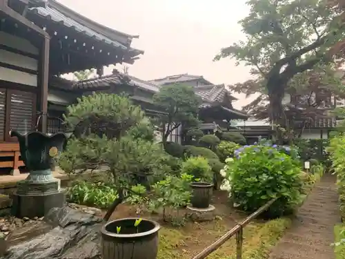 妙楽寺の庭園