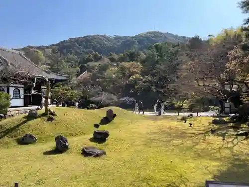高台寺（高台寿聖禅寺・高臺寺）(京都府)