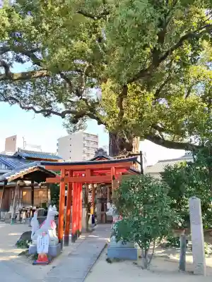 法楽寺の{uncategorized: "未分類", other: "その他", undefined: "問題あり", building: "その他建物", grave: "お墓", sacred_gate: "鳥居", guardian: "狛犬", statue: "像", buddha: "仏像", history: "歴史", nature: "自然", garden: "庭園", animal: "動物", pagoda: "塔", temizu: "手水舎", mountain_gate: "山門・神門", sanctuary: "本殿・本堂", subordinate: "末社・摂社", art: "芸術", scenery: "景色", jizo: "地蔵", ema: "絵馬", goshuin: "御朱印", omikuji: "おみくじ", items: "授与品その他", amulet: "お守り", goshuincho: "御朱印帳", eats: "食事", festival: "お祭り", votive_dance: "神楽", shichigosan: "七五三参", wedding: "結婚式", experience: "体験その他", initially: "初詣", around: "周辺", anti_infection: "感染症対策"}