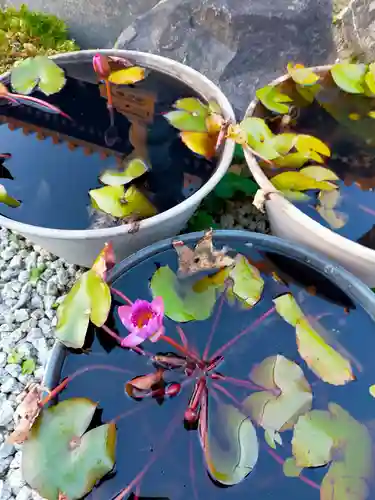 三輿寺(奈良県)