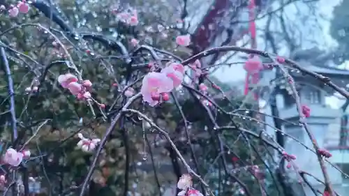 居木神社の自然
