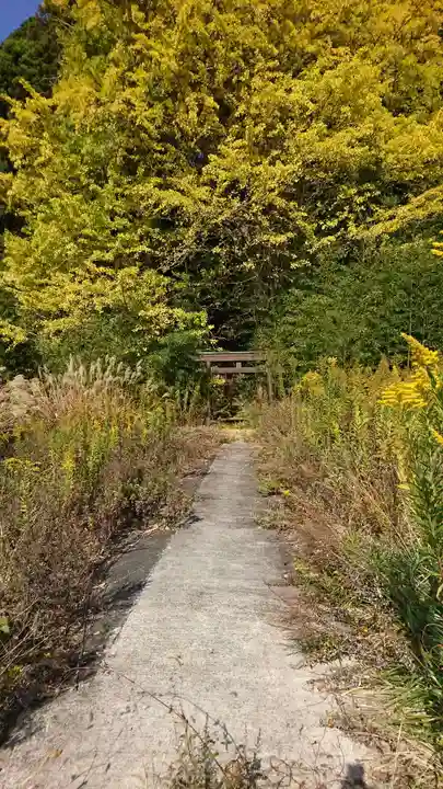 熊野神社の鳥居