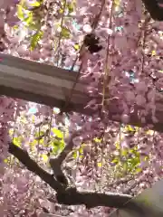 三大神社の自然