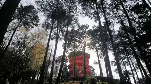 金乗院放光寺のその他建物