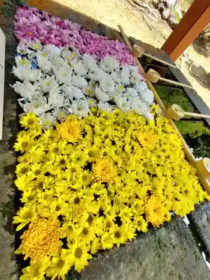 土津神社|こどもと出世の神さまの手水舎