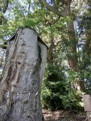 八幡社(千葉県)