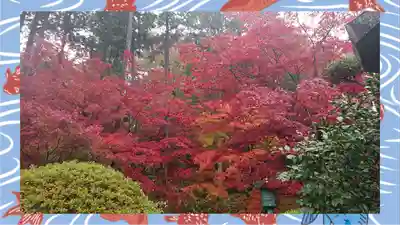 崇禅寺(群馬県)