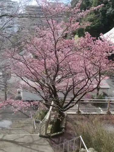 身代り不動尊(大明王院)の周辺