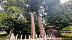 志波加神社(京都府)